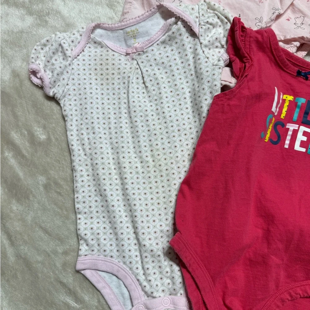 Carter's | Baby Girl Clothes Bundle Lot | 9M